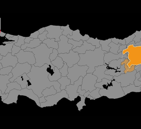 Haritadaki turuncu delik: Kürt siyaseti neden Bingöl'de kazanamıyor?