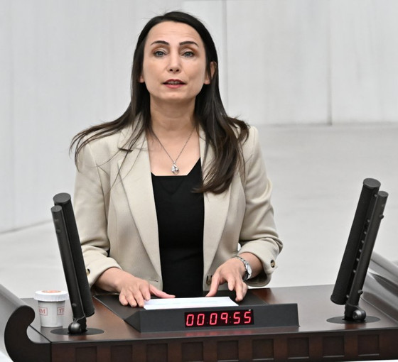 Hatimoğulları, Meclis Genel Kurulu'ndan seslendi: Kürt halkının verdiği ortak yaşam mesajı en iyi şekilde anlaşılmalıdır