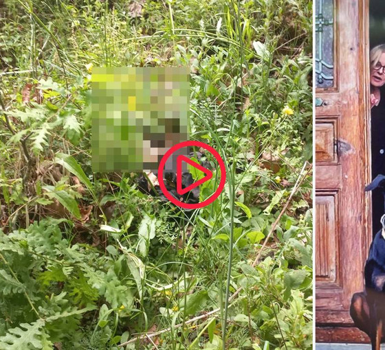 Korhan Berzeg'in kimlik ve kredi kartı ile kemik parçaları bulundu
