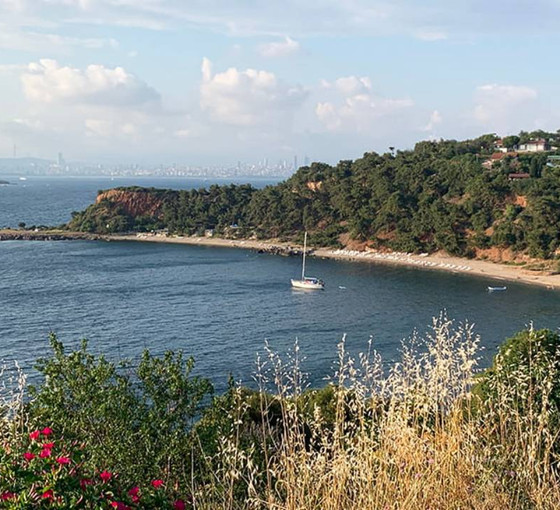 Burgazada'da Martha Koyu'nun bulunduğu alan yeniden özel kişilere kiralanacak