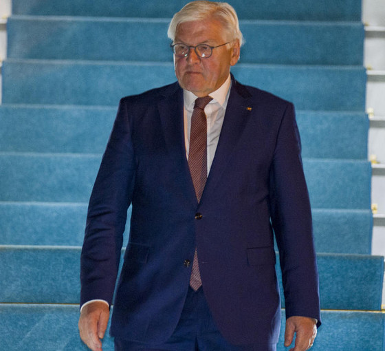 Steinmeier'den Türkiye dönüşü vize açıklaması: Personel sayısı artırıldı, çabalar sürüyor