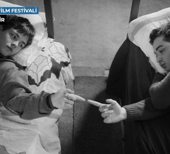 Film Festivali Günlükleri 5: Baba yurtları!
