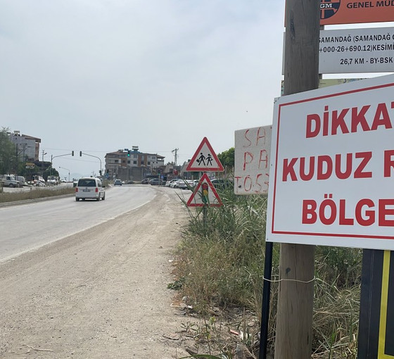 Hatay'da iki mahalle kuduz nedeniyle karantinaya alındı
