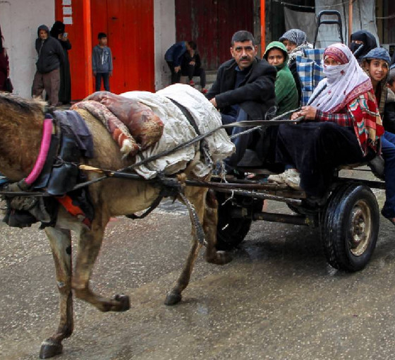 Mısır TV'si: İsrail askerlerine Kassam saldırısı müzakereleri çıkmaza soktu, Hamas: Refah'a tahliye emri müzakereleri çökertecek