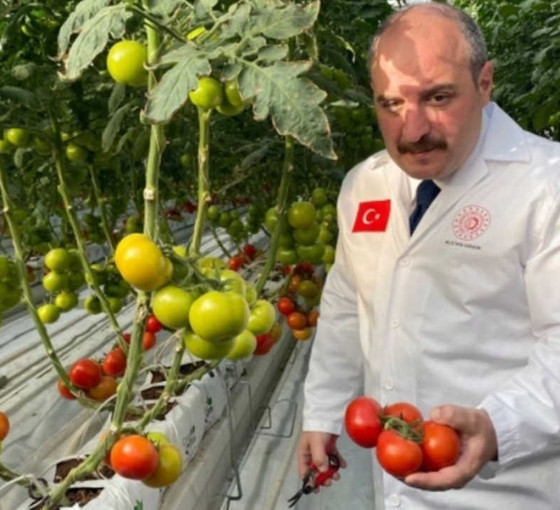 Açılışını Bakan Varank yapmıştı: AKP'li belediyenin serası günde 3 ton kömür yakmış