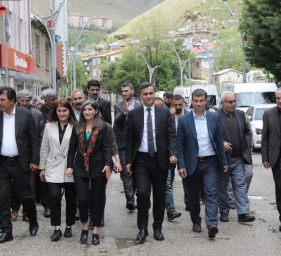 Van Büyükşehir Eşbaşkanları: Sorunları birlikte çözeceğiz
