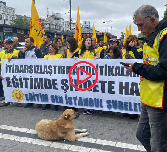 Öğretmenler şiddete ve itibarsızlaştırmaya karşı sokağa çıktı