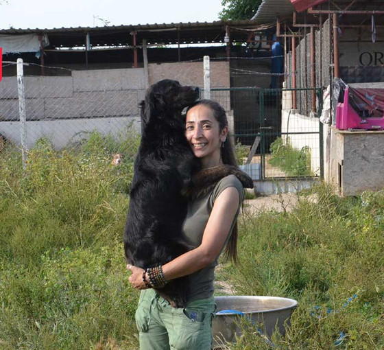 Hayvanlar için barınak kuran Selen Usta destek bekliyor: Bir köpeğe sponsor olabilir, sahiplenebilirsiniz