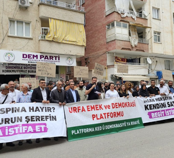 Urfa'da STK'ler, Birecik'te DEM Parti binasına saldırıyı protesto etti