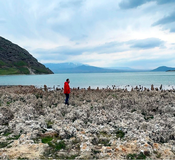 Sular çekildi, Van Gölü sahilleri mikrobiyalit tarlasına döndü