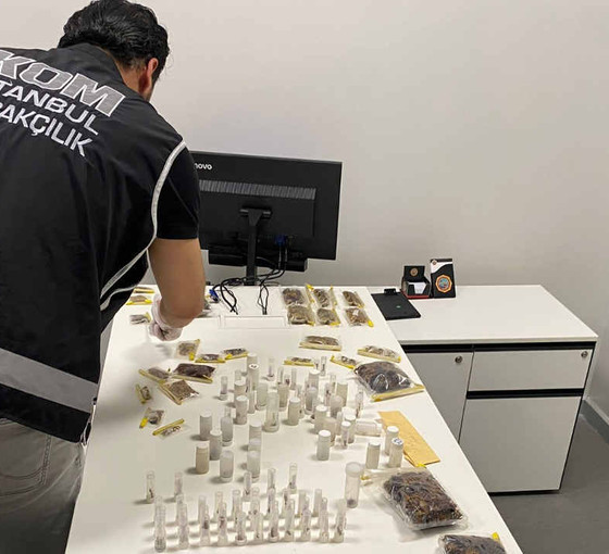 ABD'li müze müdürü İstanbul'da gözaltına alındı: Valizinden 1500 akrep ve örümcek çıktı