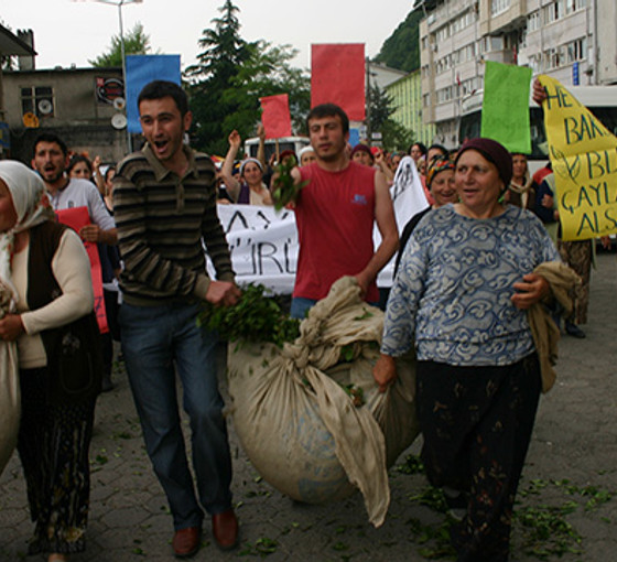 Yaş çay alım fiyatına tepkiler sürüyor: Rize ve Artvin Ziraat Odaları Ulusal Çay Konseyi'nden istifa etti