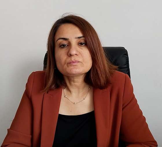 DEM Parti Hukuk Komisyonu Sözcüsü Özbingöl: Kobanê Davası'nda defacto hukuk yaratıldı
