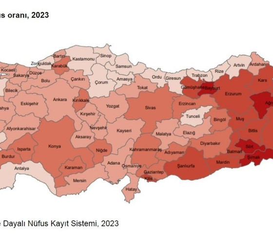 'İstatistiklerle Gençlik 2023' araştırması: Hakkari, Şırnak ve Siirt en yüksek genç oranına sahip kentler