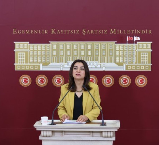 Koçyiğit'ten 'savaş yönetmeliği' tepkisi: Kürtler hedef haline getirilmek isteniyor