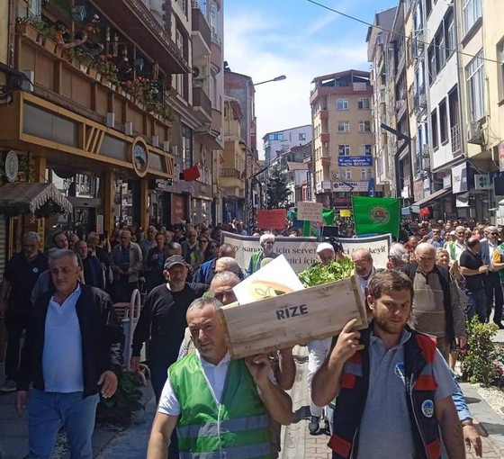 Üreticilerden fiyat protestosu: Çayı tabutta taşıdılar