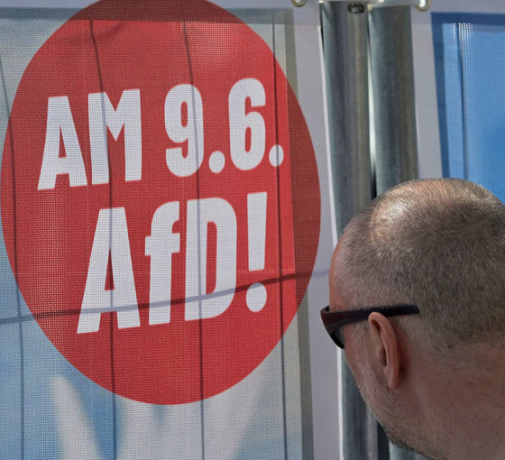 Nazi övgüsü, AfD'ye Avrupa Parlamentosu grubundan ihraç getirdi