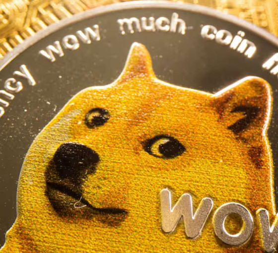 Barınaktan kurtarılmasaydı 2010'da 'uyutulacaktı': Dogecoin'in simgesi Kabosu 18 yaşında öldü