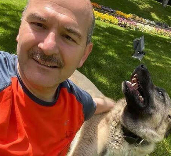 'Soylu köpek katliamına karşı' haberine yalanlama, Saray'dan geldi