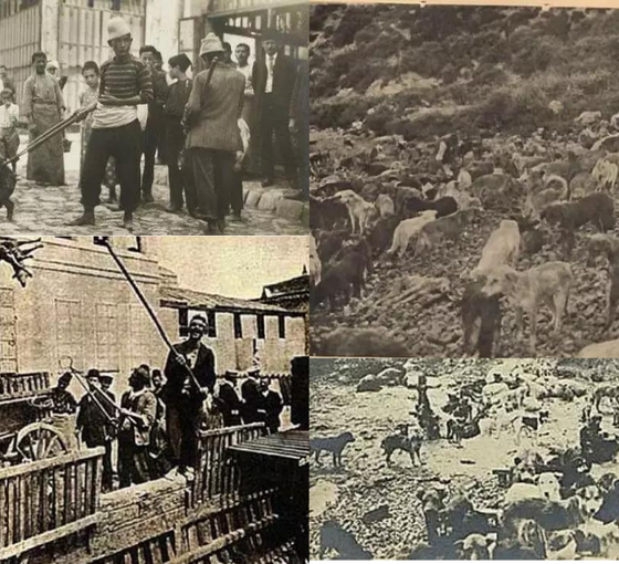 Can pazarı