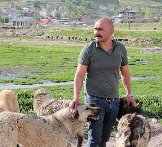Ömrünü sokakta yaşayan köpeklere adadı: 'Her şeyin nedeni sevgisizlik, katletmeyi vicdan kabul etmez'