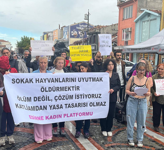 Kadınlardan 'köpek katliamı' teklifine tepki: Kara leke olarak tarihe geçecek
