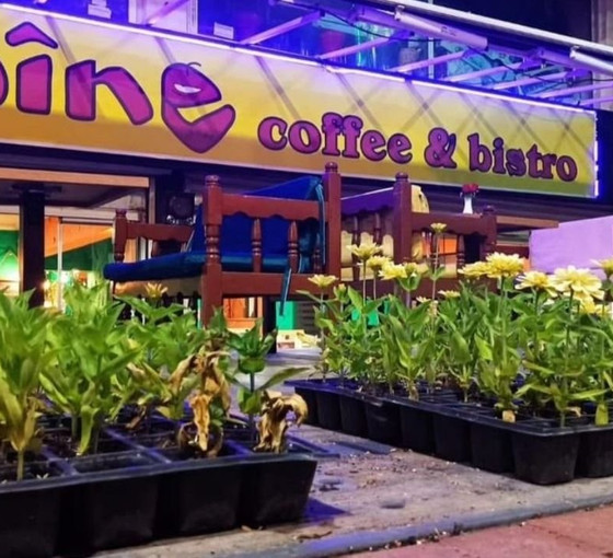 Gözaltına alınmıştı: Kürtçe hizmet veren kafenin sahibine 'dengbêj' soruldu