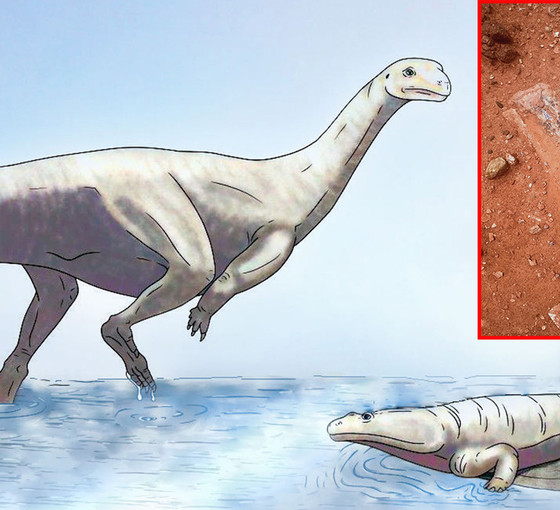 Zimbabve'de yeni bir dinozor türüne ait fosil bulundu