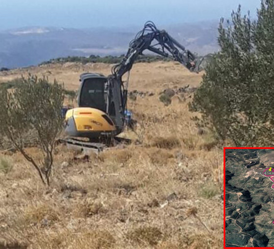 Karaburun'da mahkeme kararına rağmen GES'e onay: 25 bin zeytin ağacı tehlikede