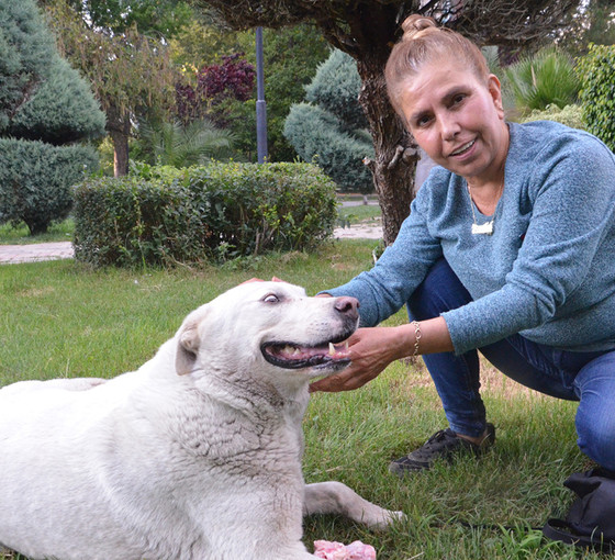 Hayatını sokak hayvanlarına adayan Fatoş Tekbaş: Öldürmelerine izin vermeyeceğiz