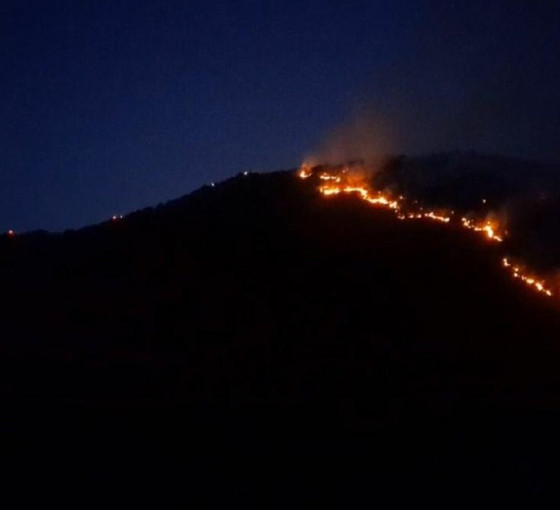 Manisa'da tarım alanında çıkan yangın ormana sıçradı
