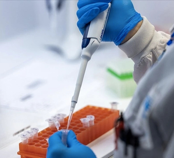 DSÖ teyit etti: İlk kez bir kişi A(H5N2) tipi kuş gribinden öldü