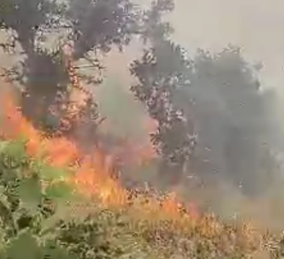 Bagok Dağı’nda çıkan yangın 4 saatte söndürüldü