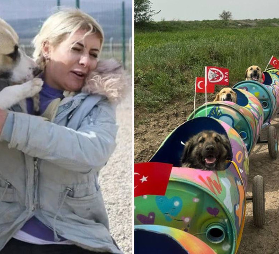 'Köpek Velisi’ Buket Özgünlü'nün tutuklanmasına tepki yağdı: Bu organize kötülük önüne gelen her şeyi yutar