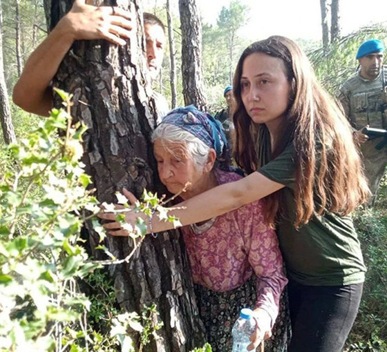 Orman Genel Müdürlüğü'nden Akbelen Ormanı’nı yok eden YK Enerji’ye takdir