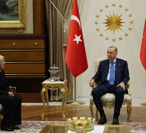 Erdoğan, Sinan Ateş'in eşi Ayşe Ateş'i cinayetten 1.5 yıl sonra kabul etti
