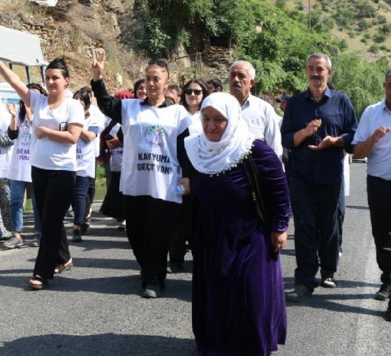 'Demokrasi yürüyüşü' Hakkari'ye vardı