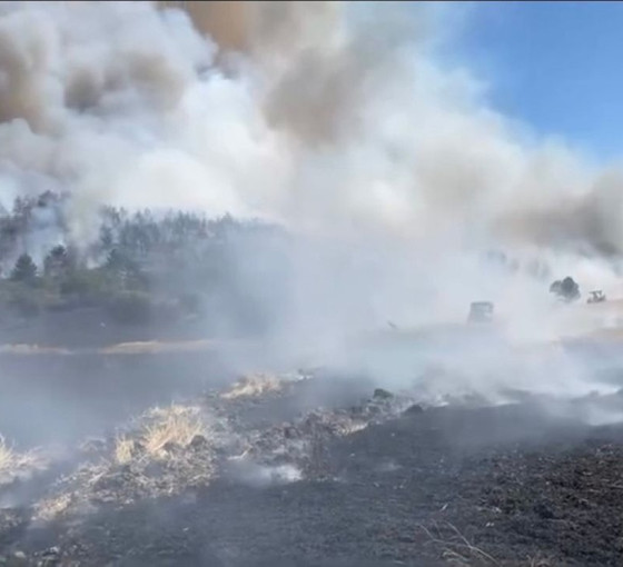 Balıkesir'de anız yangını ormana sıçradı: Müdahale ediliyor