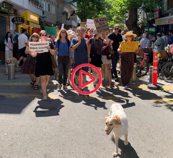Sait Faik’in 'Bir hişt sesi gelmedi mi fena' dediği Adalar’dan protesto sesleri yükseliyor: Adalar İstanbul olmasın