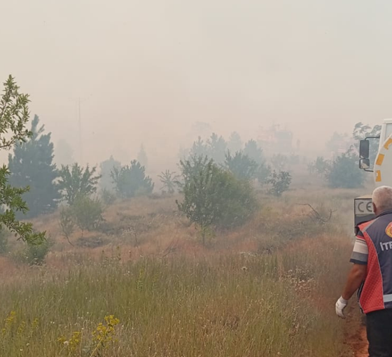 Elazığ’da ormanlık alanda çıkan yangın kontrol altına alındı
