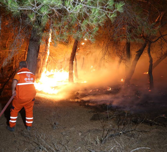 Çanakkale Ayvacık'ta orman yangını: Bir köy boşaltıldı