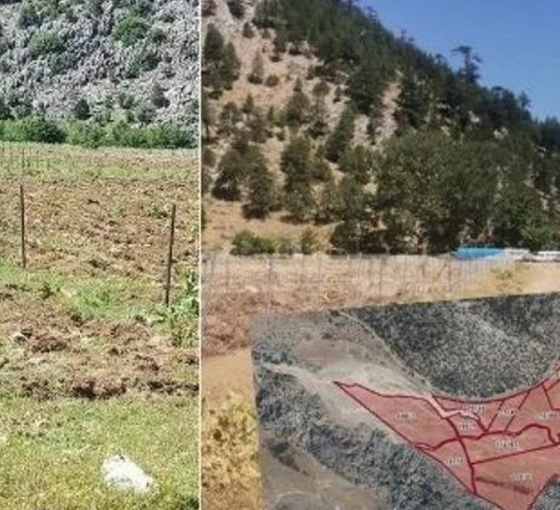 Gelesandra Yaylası çitle çevrildi, halk tepkili