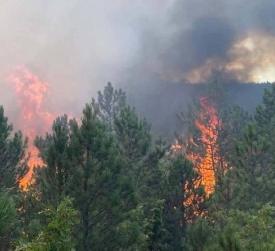 Ege yanıyor: Manisa'da 145 ev boşaltıldı