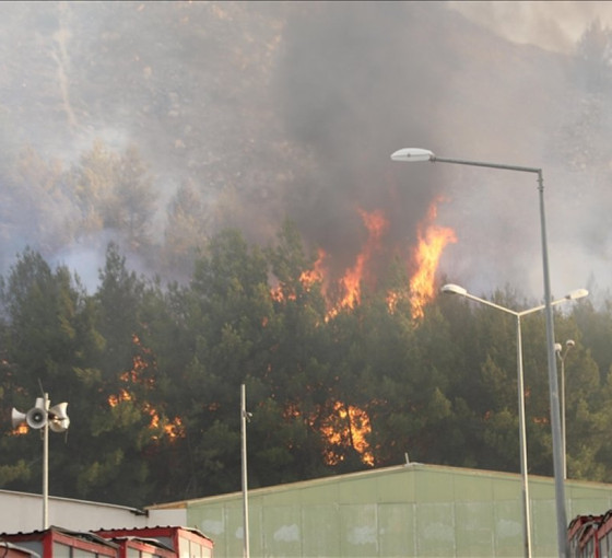 Antep'te ormanlık alanda çıkan yangın kontrol altına alındı