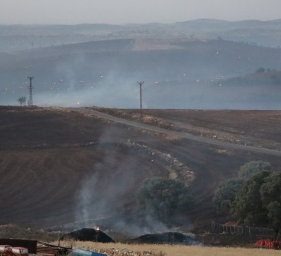 Diyarbakır ve Mardin arasındaki yangında ölü sayısı 12'ye yükseldi