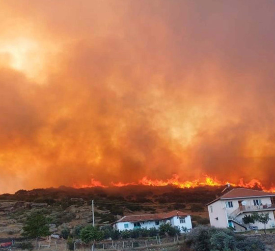 Manisa'daki orman yangını 14,5 saatte kontrol altına alındı