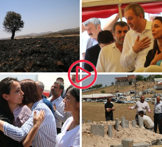 Diyarbakır-Mardin yangınında can kaybı 14'e yükseldi: Eşbaşkanlar bölgeyi ziyaret etti.