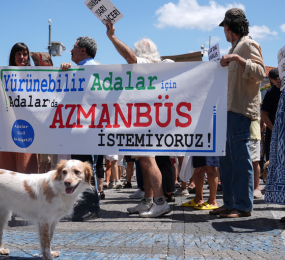 Adalar'a sahip çıkmak
