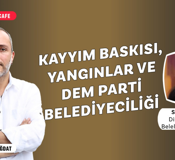 Diyarbakır-Mardin yangınları sonrası bölgedeki son durum - Çınar Belediye Eş Başkanı Semra Akyüz anlatıyor