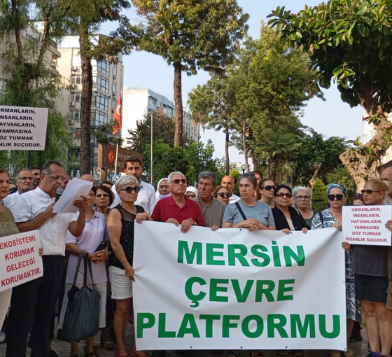 Mersin Çevre Platformu'ndan çağrı: 'Diyarbakır ve Mardin'de yangın alanı afet bölgesi ilan edilsin'